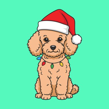 Noel Baba şapkası ve yılbaşı ışıkları takan sevimli bir köpek.