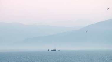 Boğaz 'da bir motorlu tekne.