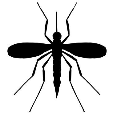 Bir sivrisinek kaliteli özgün çizimi