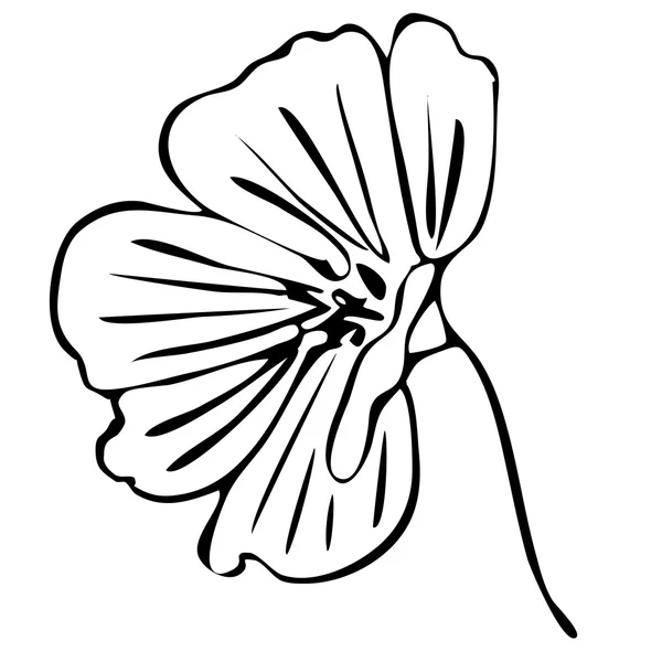 Hochwertige Originalillustration einer Blume — Stockvektor