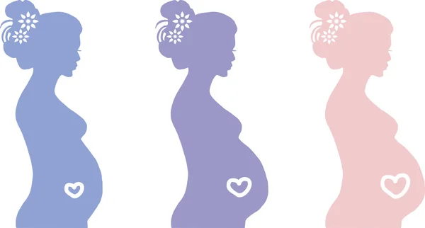 Contorno de mujer embarazada engastado en colores púrpura y rosa — Vector de stock