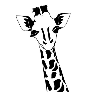 Boyama, beyaz zemin üzerine solated için sevimli zürafa