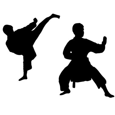 Karate çocuk. Spor. Karate Isolated yüksek tekme