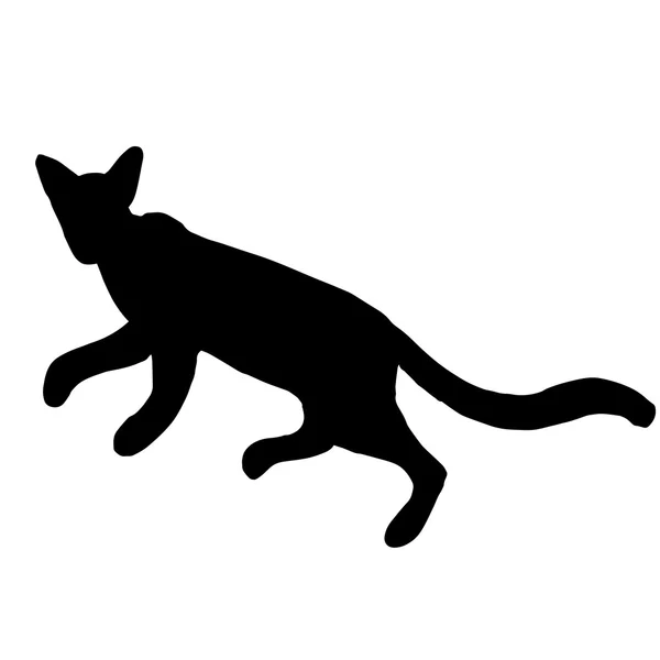 Υψηλής ποιότητας Αρχική εικονογράφηση της τρέχοντας γάτα σιλουέτα — Διανυσματικό Αρχείο
