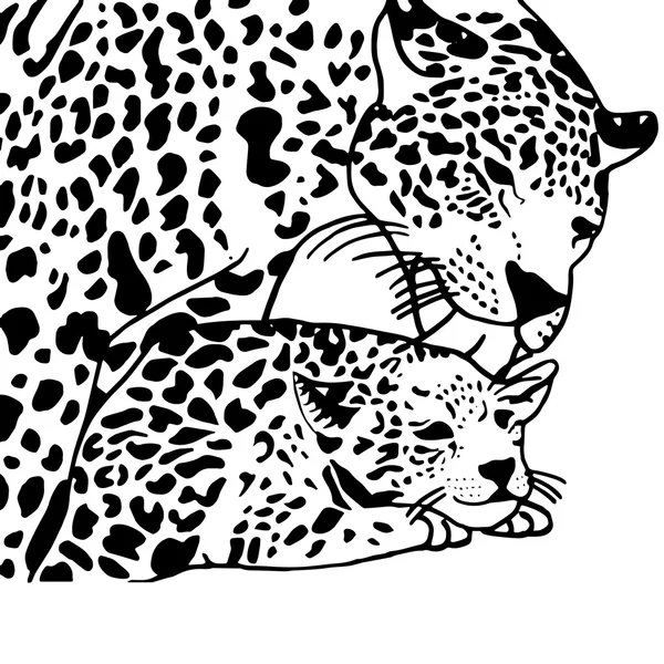 Madre e hijo leopardo — Archivo Imágenes Vectoriales