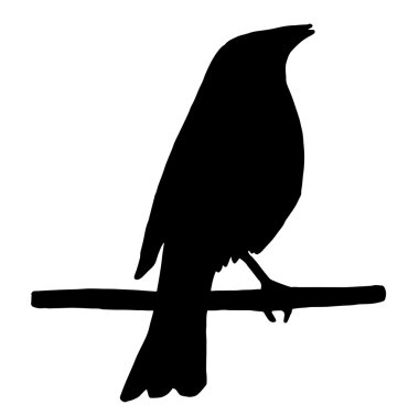 Yüksek kaliteli bir kuş dalı üzerinde orijinal silüeti 