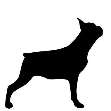 Fransız buldozer beyaz arkasında izole silüeti yüksek kalite