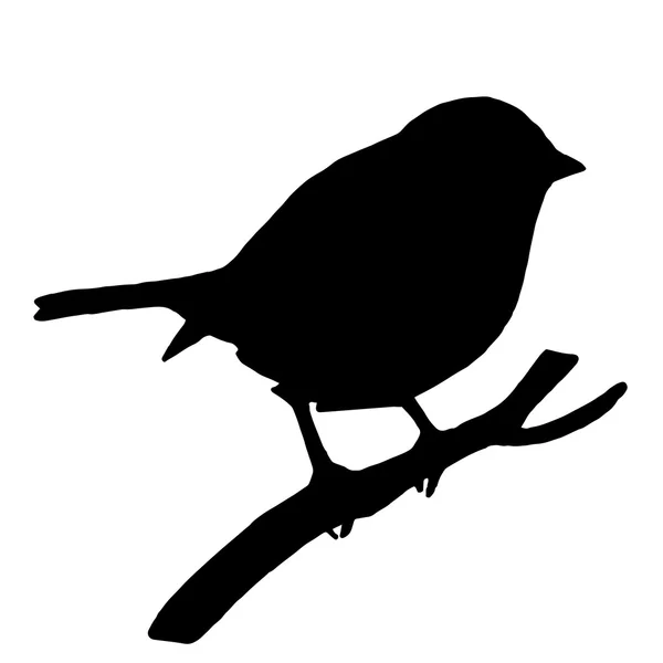 High quality original Silhouette bird on ash branch — Stock Vector