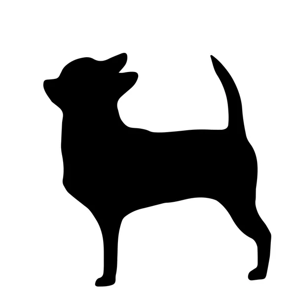 Silhouette de haute qualité de chihuahua isolé sur fond blanc — Image vectorielle