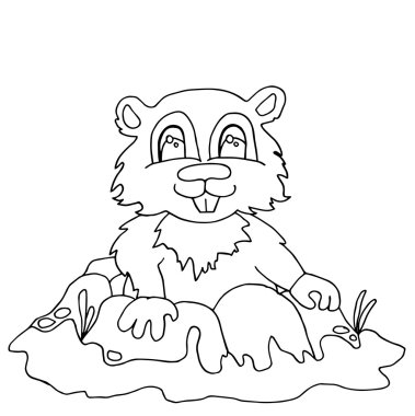 Yüksek kaliteli sincap drwan anahat boyama veya illustrat için