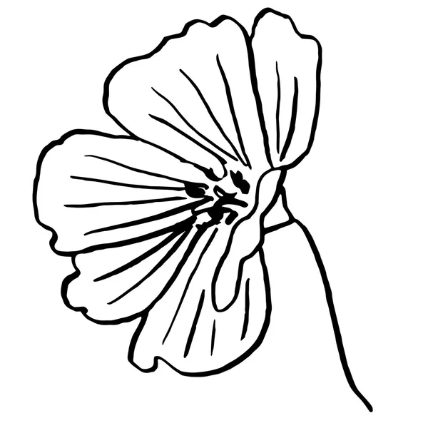 Blume Doodle in Umriss für Färbung oder andere Bedürfnisse gezeichnet — Stockvektor