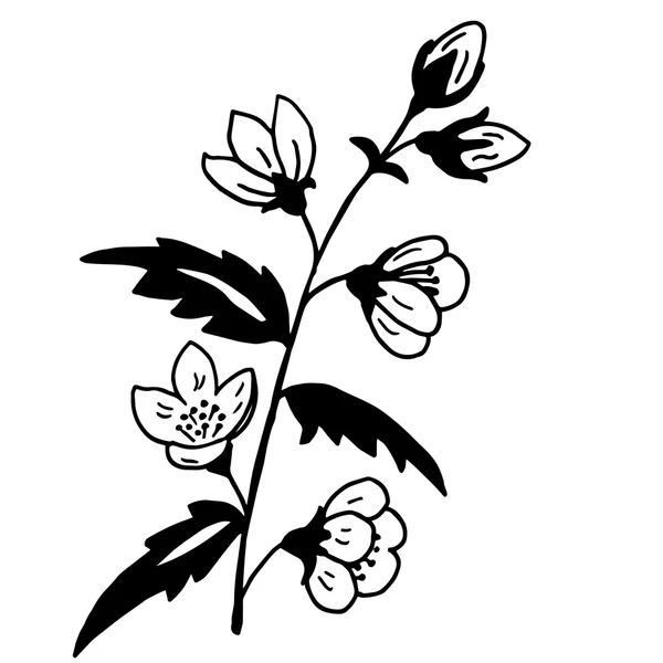 Ilustración original de alta calidad de la flor de primavera para la decoración, po — Vector de stock