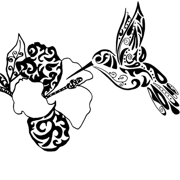 Hiqh qualiti colibrì e orchidea per la colorazione o tatuaggio isol — Vettoriale Stock