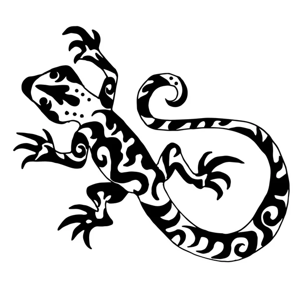 Lagarto o salamandra originaria de calidad Hiqh dibujada para colorear o — Archivo Imágenes Vectoriales