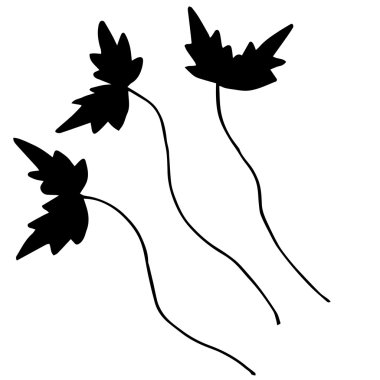 Özgün süsleme veya tasarım için dallar kümesi