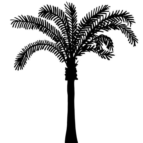 Высококачественная оригинальная иллюстрация изолированного силуэта пальмы — стоковый вектор