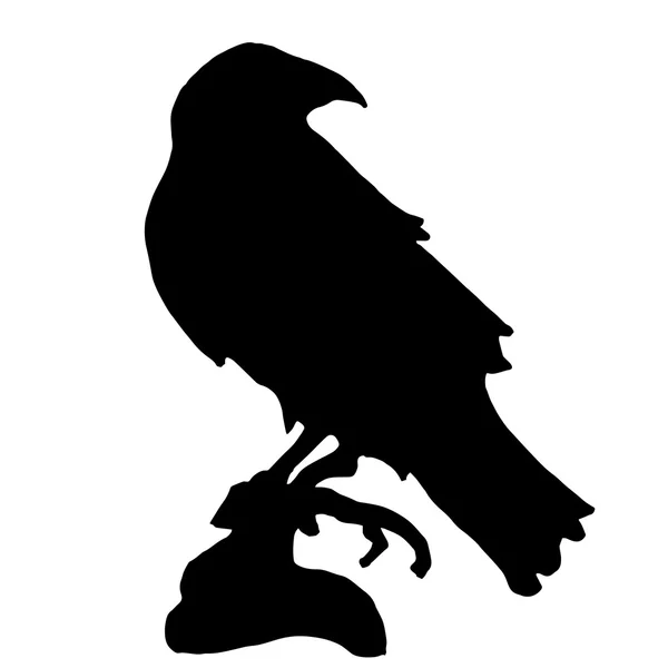 Trendy  vector raven or crow silhouette — Stock Vector