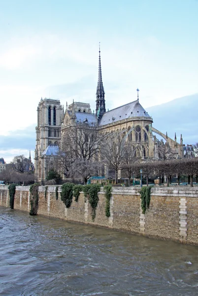 PARIS, FRANÇA - DEZEMBRO 17, 2011: A fachada sul de Notre-Dame de Paris — Fotografia de Stock