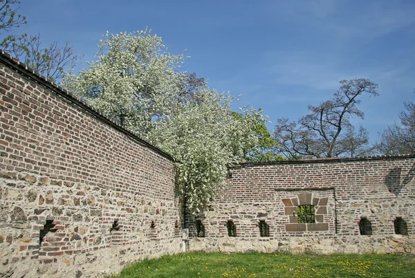 PRAGA, REPÚBLICA CHECA - 25 DE ABRIL DE 2010: Antiguo muro de ladrillo en las colinas de Vysehrad en Praga — Foto de Stock