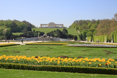  Bahçe Schonbrunn Sarayı Viyana, Avusturya