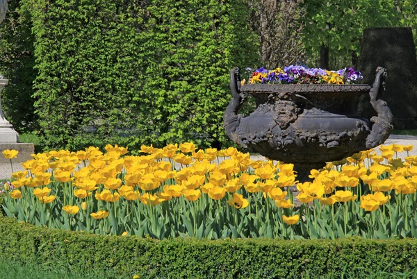 비엔나, 오스트리아에 Schonbrunn 궁전에서 비엔나, 오스트리아-2013 년 4 월 26 일: 정원 — 스톡 사진