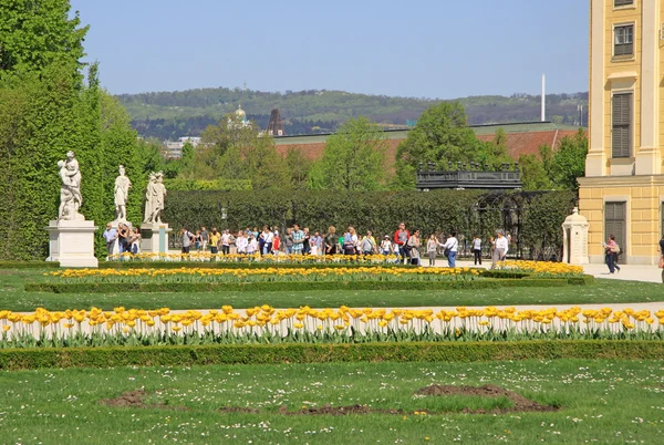 VIENNE, AUTRICHE - 26 AVRIL 2013 : Jardin du Palais Schonbrunn à Vienne, Autriche — Photo