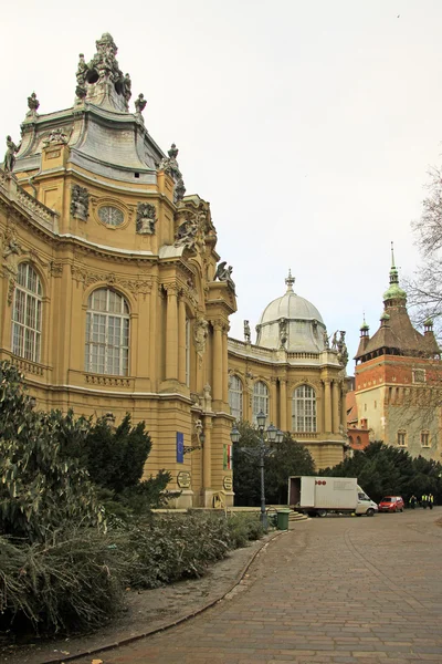 Il muro del museo agricolo nel parco Varosliget, Budapest, Ungheria. febbraio 2012 . — Foto Stock