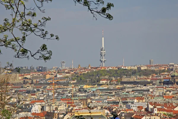 Luftaufnahme von Prag, Tschechische Republik vom Petrin Hill Aussichtsturm. — Stockfoto