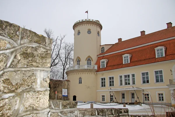 Cesis, Letland - 17 maart 2012: New castle in Cesis. Het ws gebouwd in de 18e eeuw. Het huist nu geschiedenis en kunst Museum van Cesis. — Stockfoto