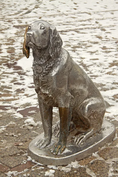 VORONEZH, RUSIA - 29 de marzo de 2011: Monumento al Perro llamado White Bim Oreja Negra en Voronezh, Rusia. El perro es un héroe principal de la novela . — Foto de Stock