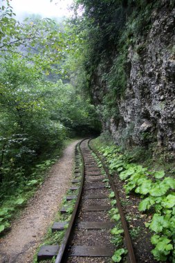 Gorge Guam, Apsheron bölge Krasnodar Krayı Rusya içinde terk edilmiş tren