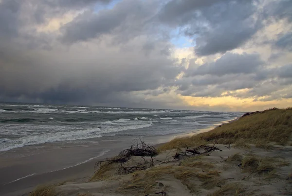 Sanddünen der Kurischen Nehrung bei Sonnenuntergang, Ostsee, Kaliningrader Gebiet, Russland — Stockfoto