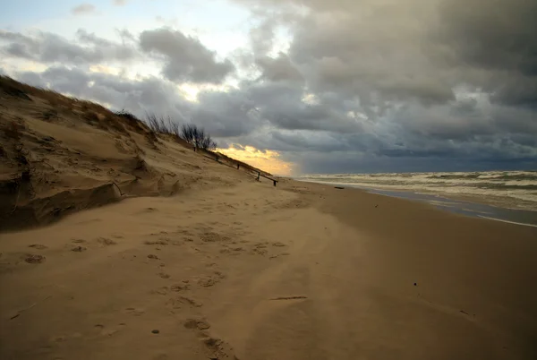 Zandduinen van de Koerse Schoorwal bij zonsondergang, de Baltische Zee, Kaliningrad Oblast, Rusland — Stockfoto