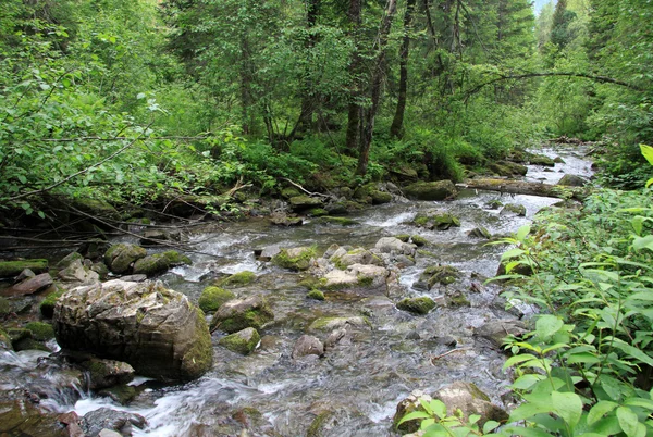 Pequeno rio de montanha nas montanhas Altai, Rússia — Fotografia de Stock