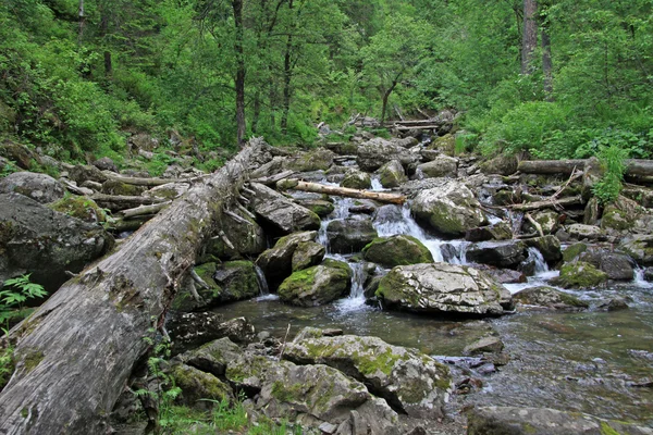 、ロシアのアルタイ山脈の小さな山川 — ストック写真