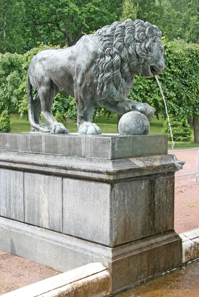 Peterhof, Rusya - 24 Haziran 2008: Bronz bir aslan figürü. Aslan art arda fountainat Peterhof Sarayı Bahçesi, St. Petersburg detay — Stok fotoğraf