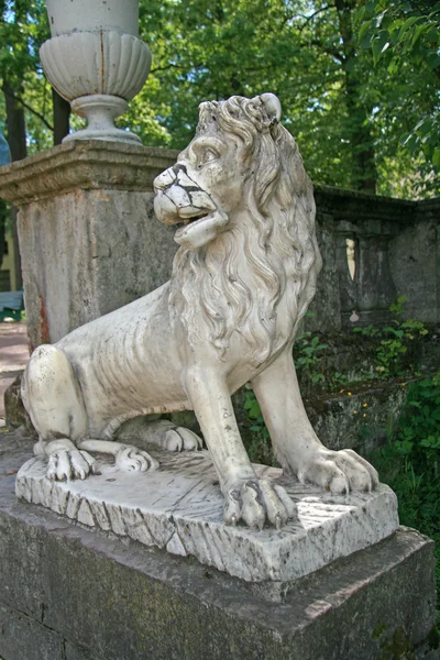 Lion dans le parc du palais de Pavlovsk, Pavlovsk, Russie — Photo