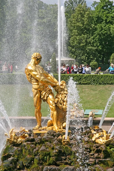 PETERHOF, RUSSIE - 27 JUIN 2008 : Fontaine Samson de la Grande Cascade au Palais Peterhof, Russie — Photo