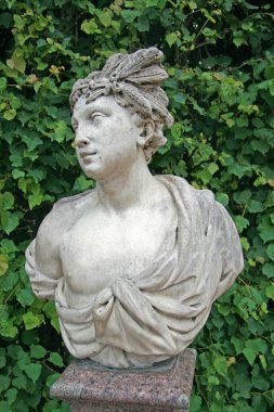 St. Petersburg, Tsarskoye Selo, Rusya Federasyonu - 26 Haziran 2008: Catherine Park Heykel