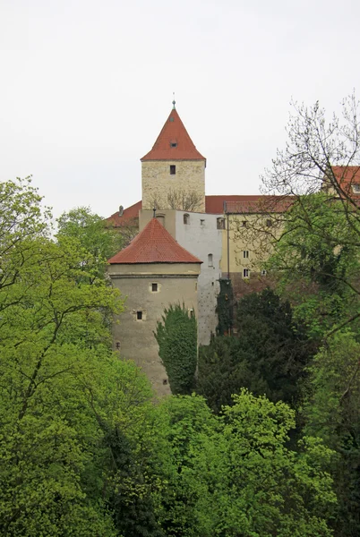 捷克共和国布拉格-2013年4月29日: 布拉格城堡塔和鹿的护城河景观 — 图库照片