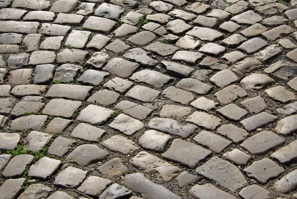 Paving stones of the city — Stock Photo, Image