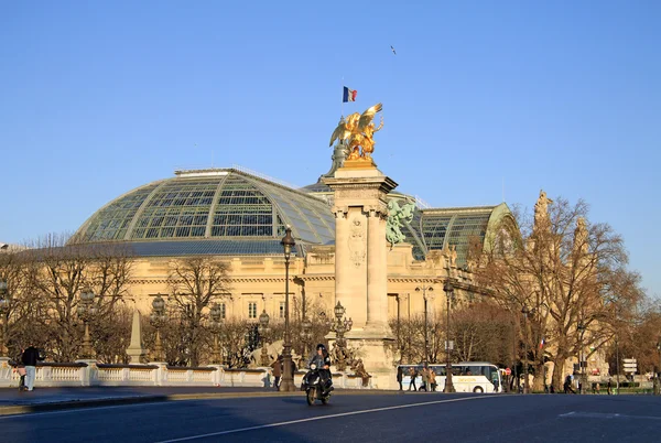 PARIS, FRANCE -18 DECEMBER 2011: Grand Palais des Champs-Elysees in Paris, France — ストック写真