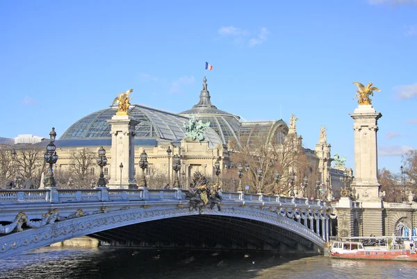 PARIS, FRANCE -18 DECEMBER 2011: Grand Palais des Champs-Elysees and Pont Alexandre lll in Paris, France — Stockfoto