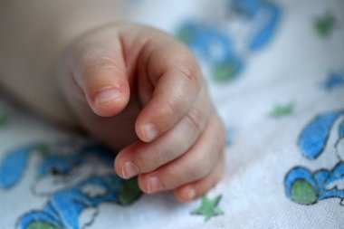 Yeni doğmuş bir bebeğin eli