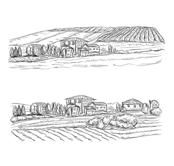 Paesaggio con campi e villaggi. Vigneti — Vettoriale Stock