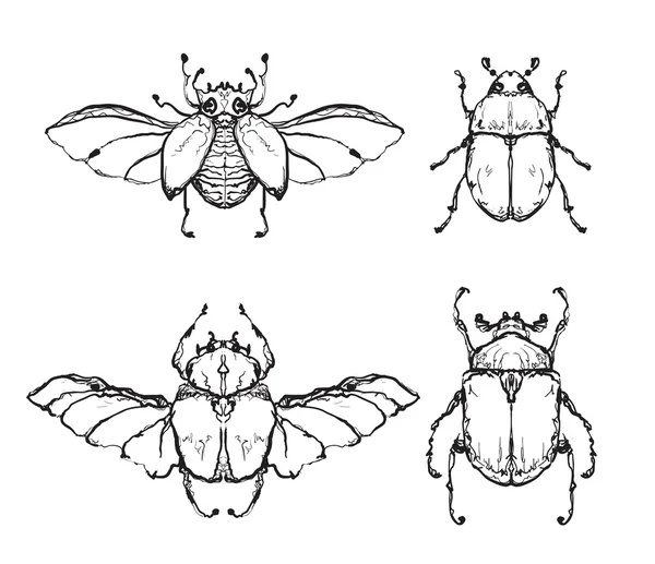 Handgezeichnetes Insekt mit Flügel — Stockvektor