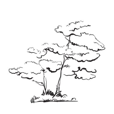 elle çizilmiş ağaç.