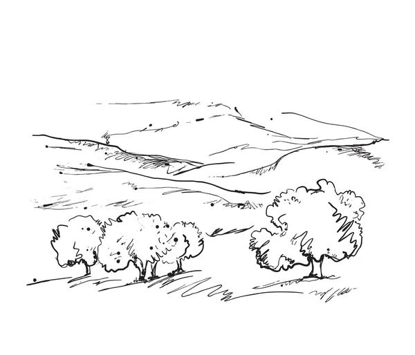 Doodles landschap met velden en bomen. — Stockvector
