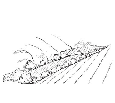 Doodles'ın peyzaj alanları ve ağaçlar.