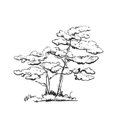 elle çizilmiş ağaç.